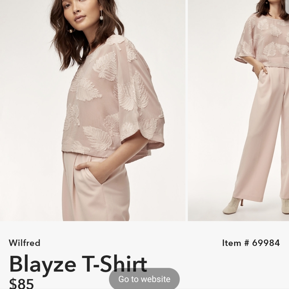 ISO this color or similar Aritzia Blayze shirt
